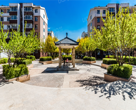 高新興華園C區(qū)、D區(qū)、E區(qū)住宅項目